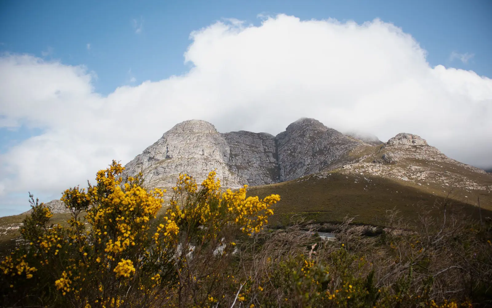 Delvera / Dirtopia Trail Centre — official trail photo