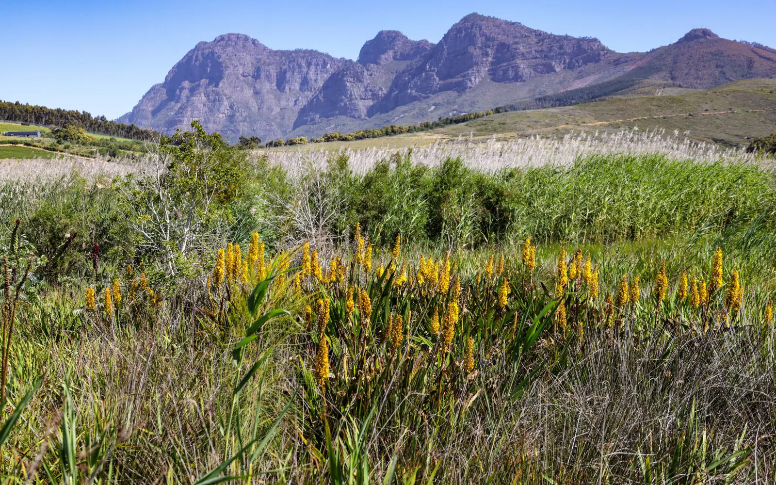 Hoogekraal & Welvergenoegd MTB Trails — official trail photo