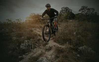 Die Bosveld — official trail photo