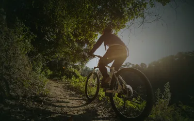 Tokai Forest Trails — official trail photo